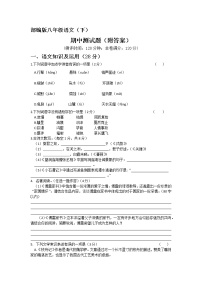 2020-2021学年部编版语文八年级下册期中测试题4（word版有答案）