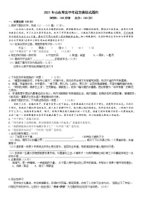 2021年山东省枣庄市中考语文模拟试题四（word版 含答案）