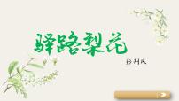 人教部编版七年级下册第四单元15 驿路梨花教案配套课件ppt
