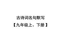 古诗词名句默写（九年级上、下册）（共56张PPT）