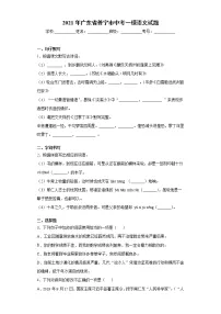 2021年广东省普宁市中考一模语文试题(word版 含答案)