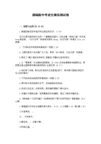人教部编版中考语文模拟测试卷试题及答案