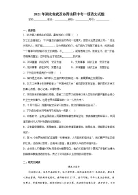 2021年湖北省武汉市青山区中考一模语文试题(word版含答案）