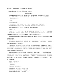 2018年中考语文专项复习训练：22小说阅读（A卷）
