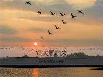 初中语文7*大雁归来课文课件ppt