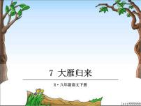 2021学年7*大雁归来教案配套ppt课件