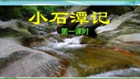 语文八年级下册10 小石潭记优质课件ppt