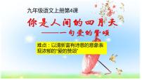 初中语文人教部编版九年级上册4 你是人间的四月天教学课件ppt