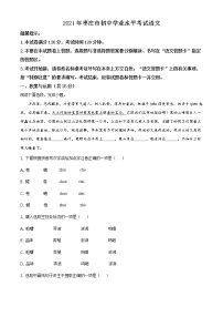 2021年山东省枣庄市中考语文试题