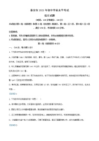 2021年山东省泰安市中考语文试题