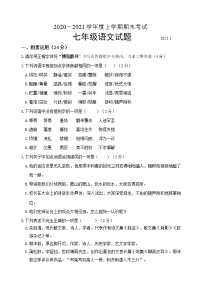 山东省临沂市临沭县2020-2021学年七年级上学期期末考试语文试题（word版 含答案）