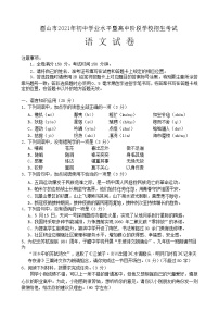 2021年四川省眉山市中考语文真题（WORD版，含答案）