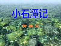 八年级下册第三单元10 小石潭记课文课件ppt