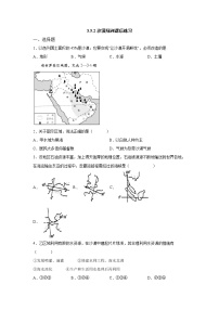 人教版 (人文地理)上册第二框 沙漠绿洲同步训练题