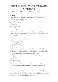 试卷 暑假作业（2）2020-2021学年七年级下学期数学人教版（含答案）