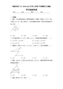 试卷 暑假作业（3）2020-2021学年七年级下学期数学人教版（含答案）