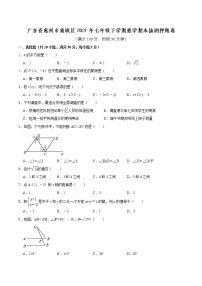 广东省惠州市惠城区2020--2021学年七年级下学期数学期末押题卷（word版 含答案）