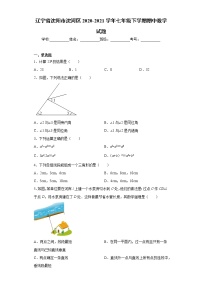 辽宁省沈阳市沈河区2020-2021学年七年级下学期期中数学试题（word版 含答案）