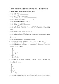 上海市松江区2020-2021学年八年级上学期期末数学试卷（word解析版）