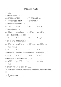 2021年（人教版）七年级数学暑假作业03 平方根-（含解析）