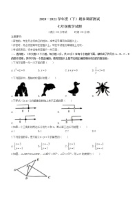 重庆市沙坪坝区2020-2021学年七年级下学期期末数学试题（word版 无答案）