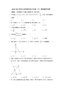 山东省青州市2020-2021学年下学期八年级期末考试数学试卷（word版 含答案）