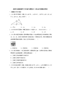 北师大新版数学八年级专题复习《生活中的轴对称》（含答案）试卷