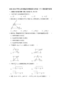 山东省临沂市郯城县2020-2021学年七年级下学期期末数学试卷（word版 无答案）