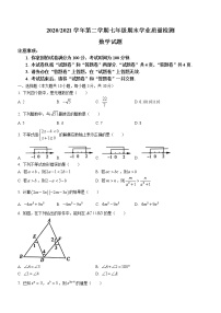 安徽省合肥高新区2020-2021学年七年级下学期期末数学试题（word版 含答案）