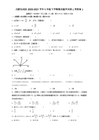 安徽省合肥市包河区2020-2021学年七年级下学期期末（统考）数学试卷（word版 含答案）