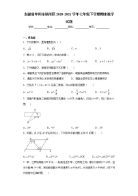 安徽省阜阳市颍州区2020-2021学年七年级下学期期末数学试题（word版 含答案）