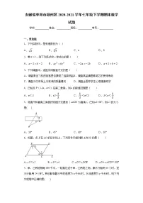 安徽省阜阳市颍州区2020-2021学年七年级下学期期末数学试题（word版 含答案）