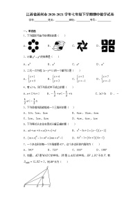 江苏省苏州市工业园区2020-2021学年七年级下学期期中数学试卷（word版 含答案）