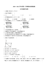 湖北省武汉市江岸区2020-2021学年七年级下学期期末数学试题（word版 含答案）