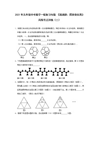 2021年九年级中考数学一轮复习专题 《找规律：图形变化类》高频考点训练（二）