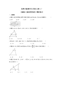 北师大版九年级上册7 相似三角形的性质精练