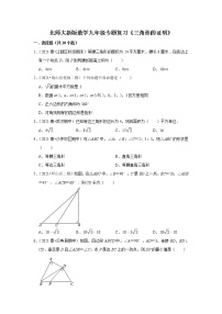 北师大新版数学八年级下册专题复习《三角形的证明》（含答案）