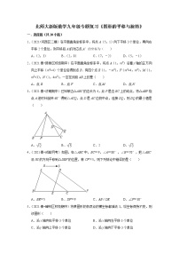 北师大新版数学八年级下册专题复习《图形的平移与旋转》（含答案）