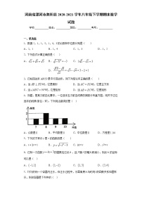 河南省漯河市舞阳县2020-2021学年八年级下学期期末数学试题（word版 含答案）