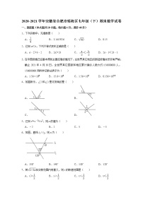 _安徽省合肥市瑶海区2020-2021学年七年级下学期期末数学试卷（word版 含答案）