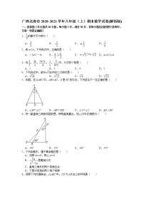 广西北海市2020-2021学年八年级上学期期末数学试卷（word版，含答案）