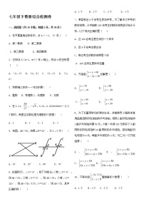 新人教版七年级下册数学期末复习6