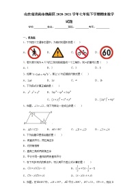 山东省济南市槐荫区2020-2021学年七年级下学期期末数学试题（word版 含答案）