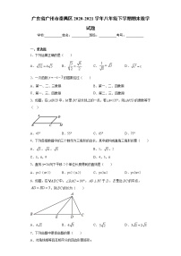 广东省广州市番禺区2020-2021学年八年级下学期期末数学试题（word版 含答案）