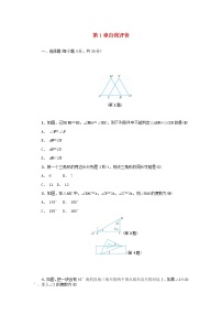 浙教版八年级上册第1章 三角形的初步知识综合与测试同步练习题