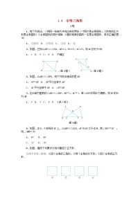 浙教版八年级上册1.4 全等三角形巩固练习