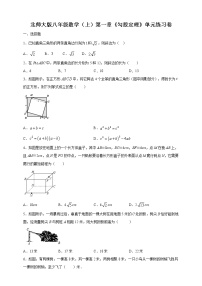 初中数学北师大版八年级上册第一章 勾股定理综合与测试同步练习题