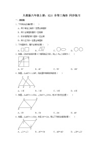 初中数学人教版八年级上册12.1 全等三角形综合训练题