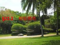 华师大版九年级上册第23章 图形的相似23.2 相似图形教学课件ppt