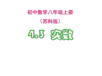 2021学年4.3 实数评课ppt课件